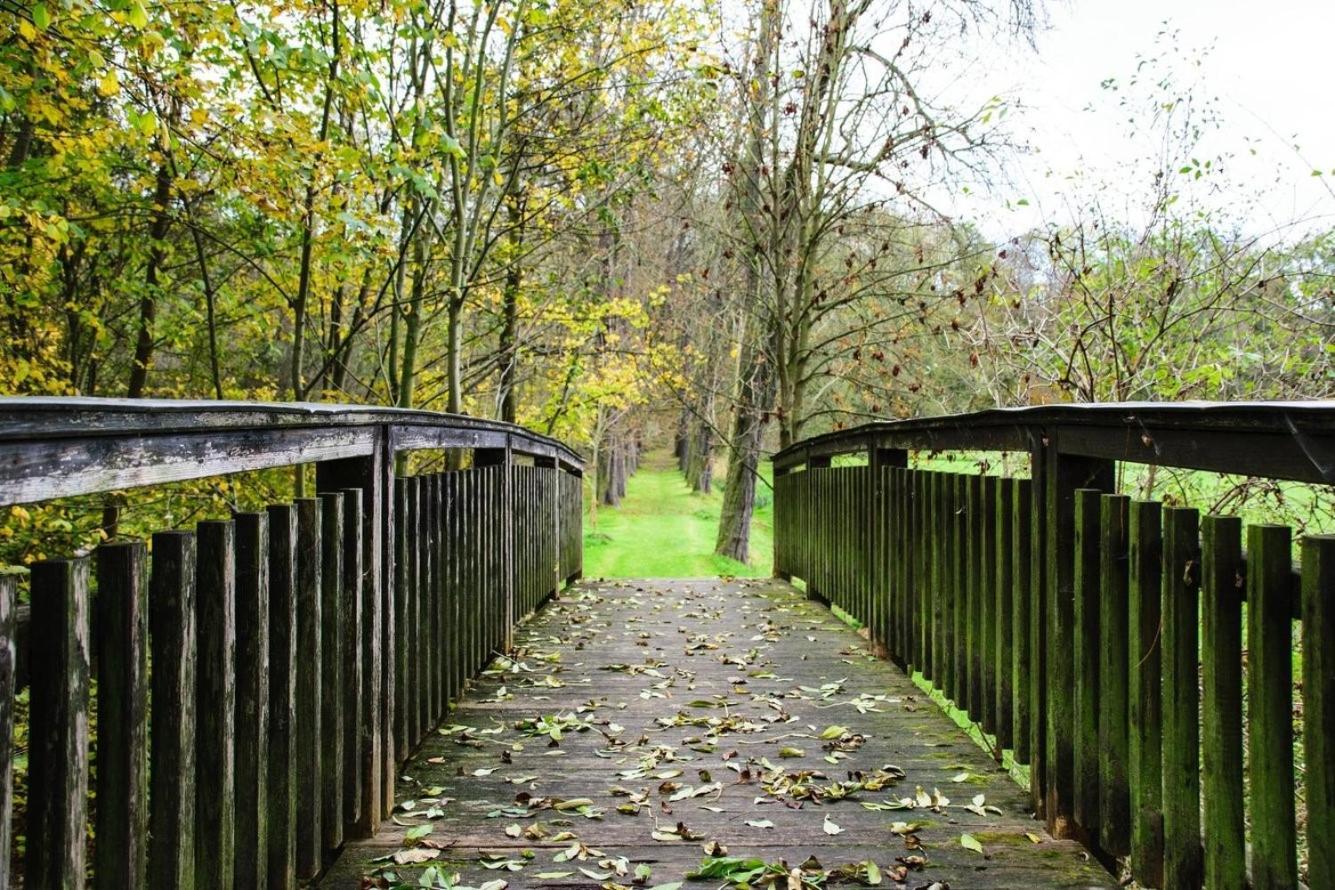 Rittergut/Gutshaus Grossgestewitz Naumburg  Eksteriør bilde