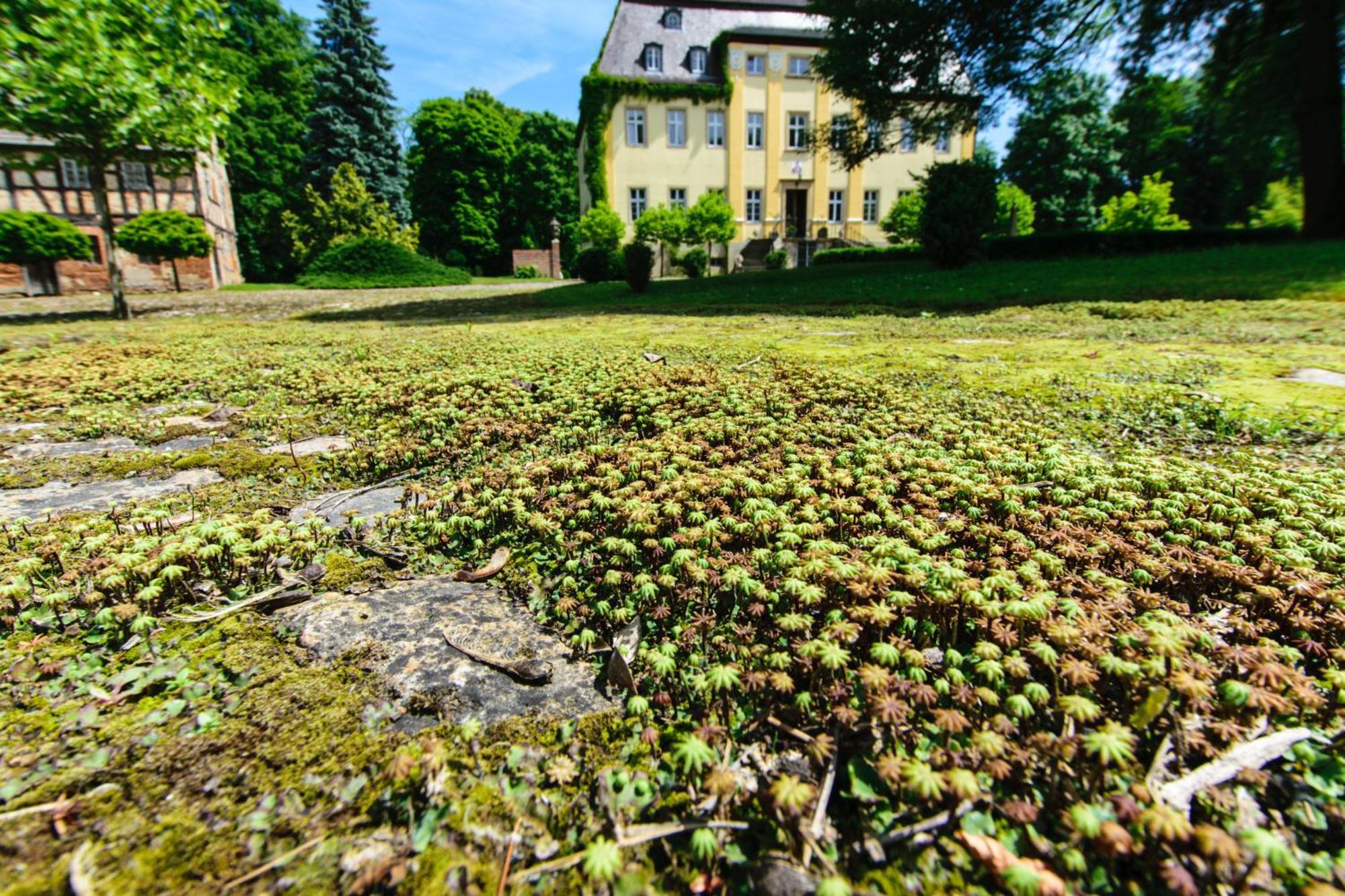 Rittergut/Gutshaus Grossgestewitz Naumburg  Eksteriør bilde